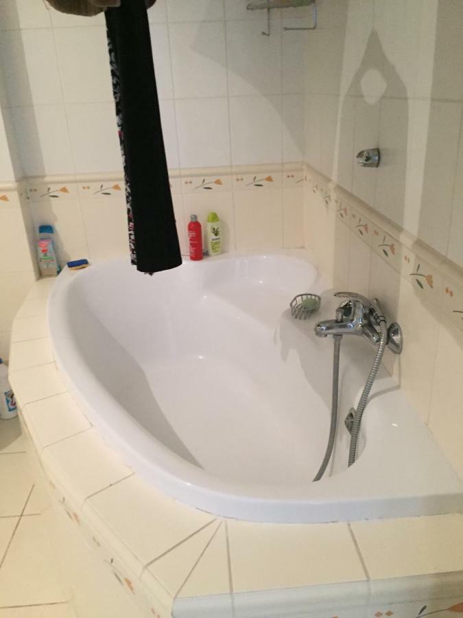 Apartman Vridelni 136 卡罗维发利 外观 照片